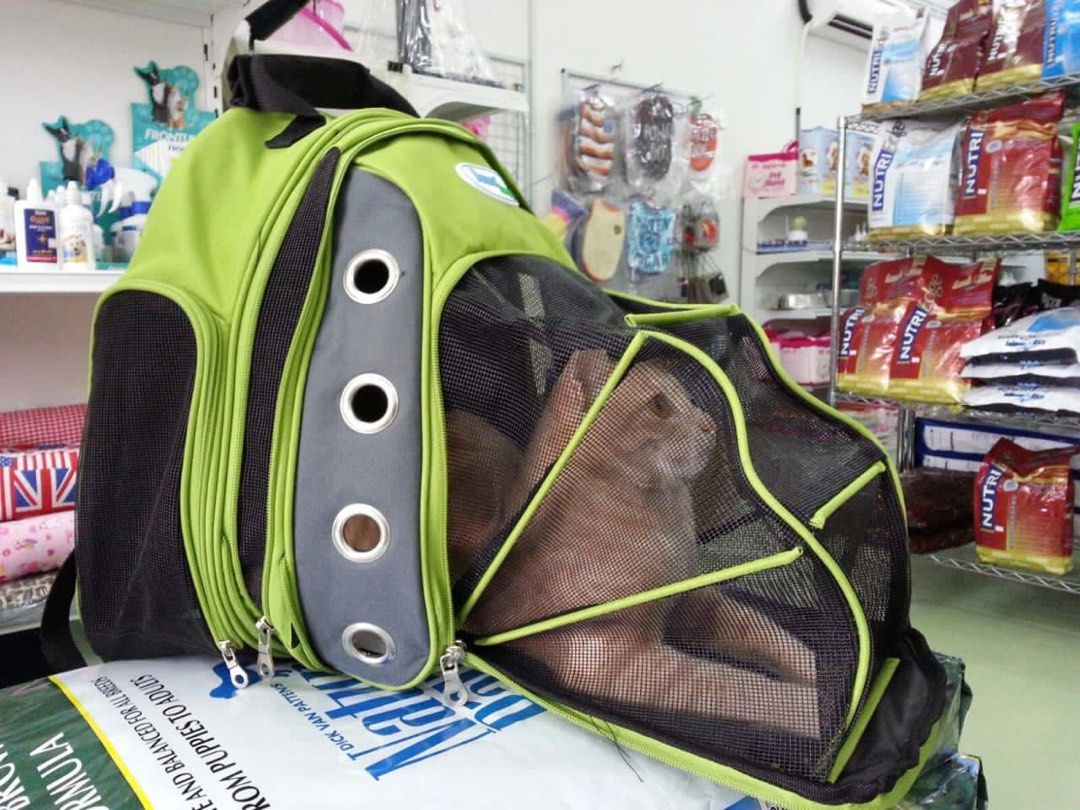 Casual canine shop ultimate backpack carrier