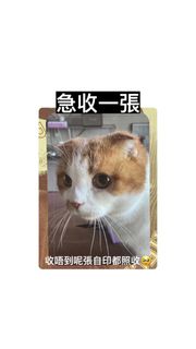 （分類：）位於 。 由 prokysjej 提交（商品編號 1253675542，圖片 1）。簡介： 。