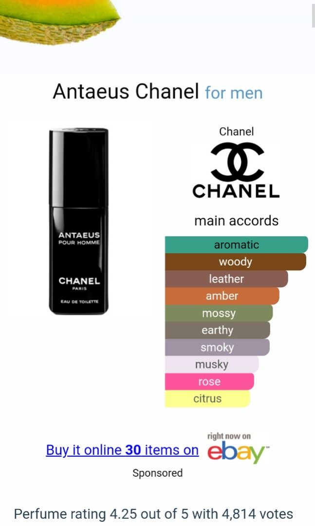 Antaeus Pour Homme 100ml by CHANEL Original Tester Eropa (NEW NON BOX)