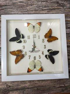 butterfly wall home clock bedroom time watch taxidermy