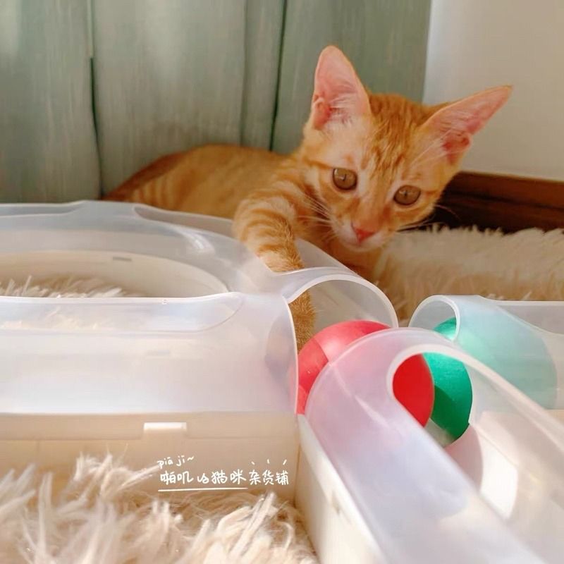 Carno cat toy on sale box
