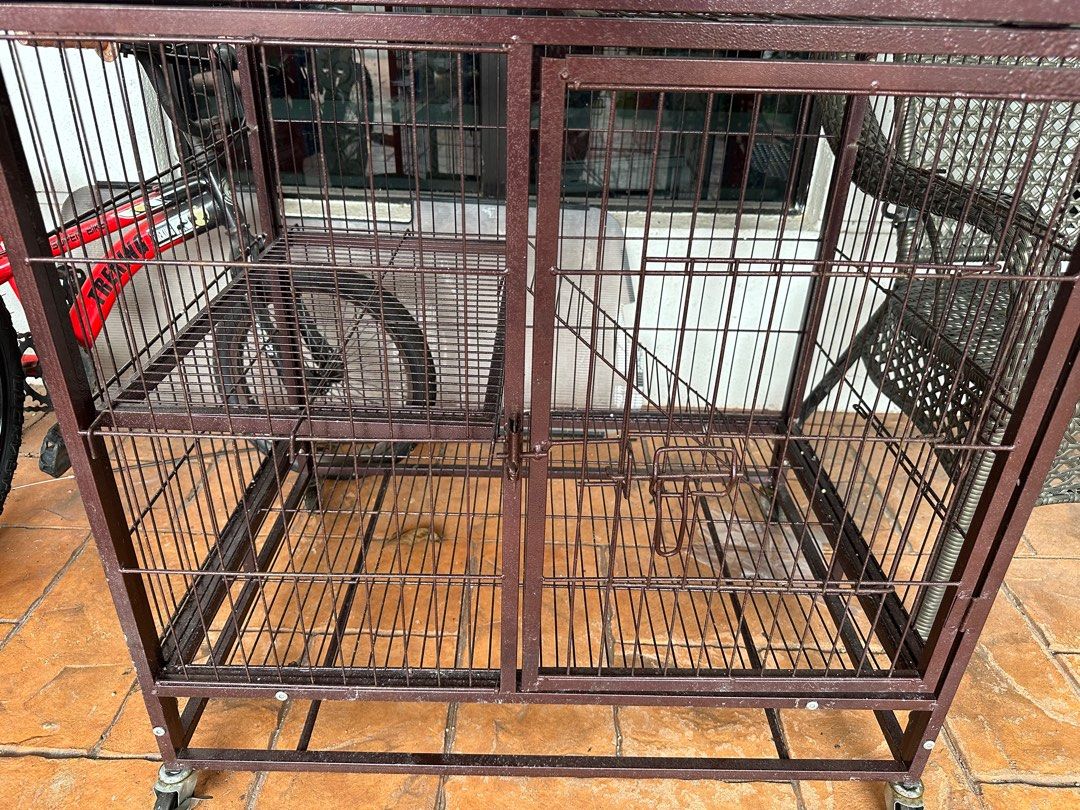 Cat Cage for Sale, Pet Supplies, Homes & Other Pet Accessories on Carousell