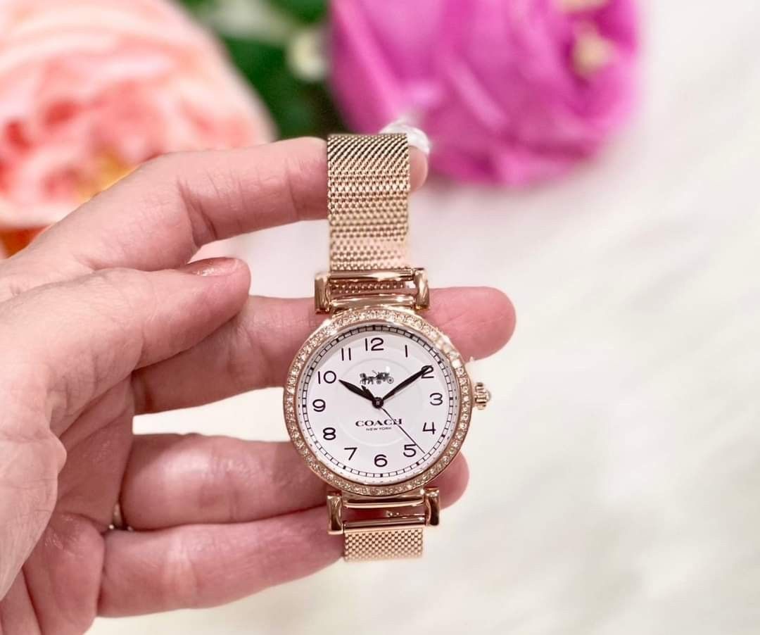 Coach discount mesh watch
