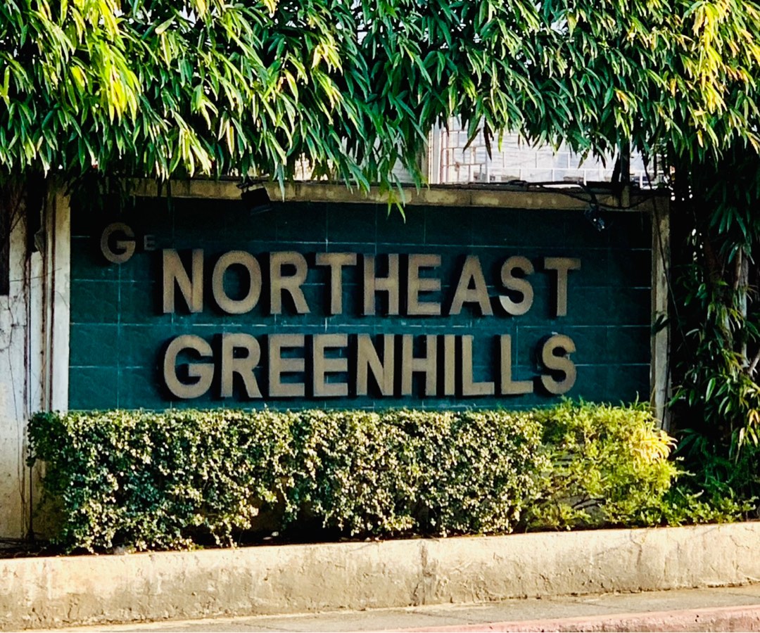 House for sale Northeast Greenhills, Property, For Sale, House & Lot on