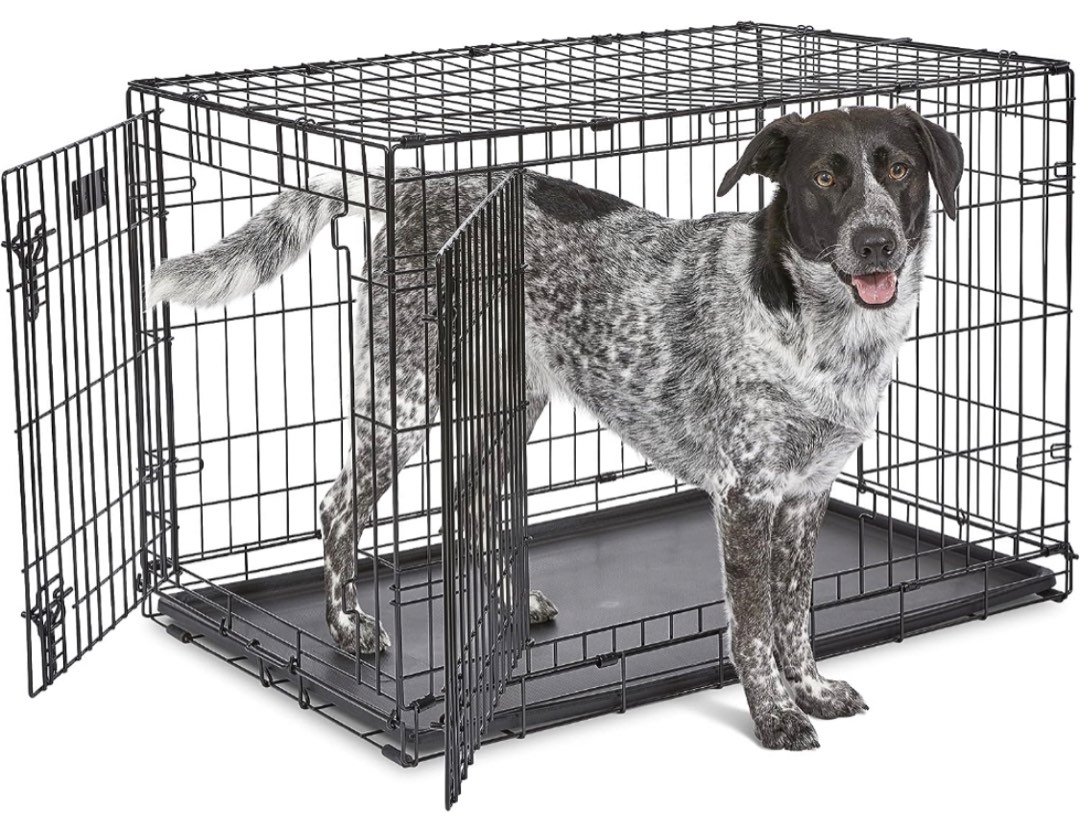 JE Midwest iCrate Dog Crate 36 inch Double Door, Pet Supplies, Homes