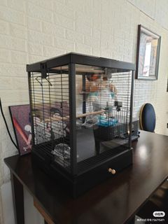 (Category: ) located in . Submitted by birdheaven (Listing ID 1251504171, Image 1). Description: .