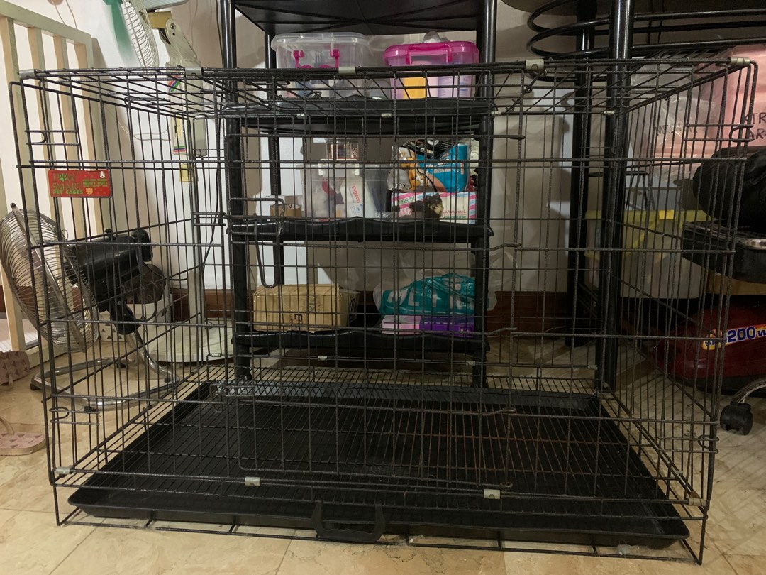 Paw Smart XXL Dog Cage, Pet Supplies, Homes & Other Pet Accessories on