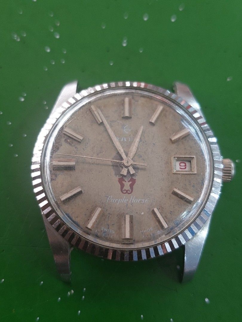 Vintage rado hotsell purple horse