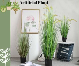[SG READY STOCKS] Singapore Preserved Flower Wholesaler: Setaria verticillata Artificial Plant Pampas Natural