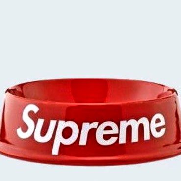 Supreme shop dog accessories