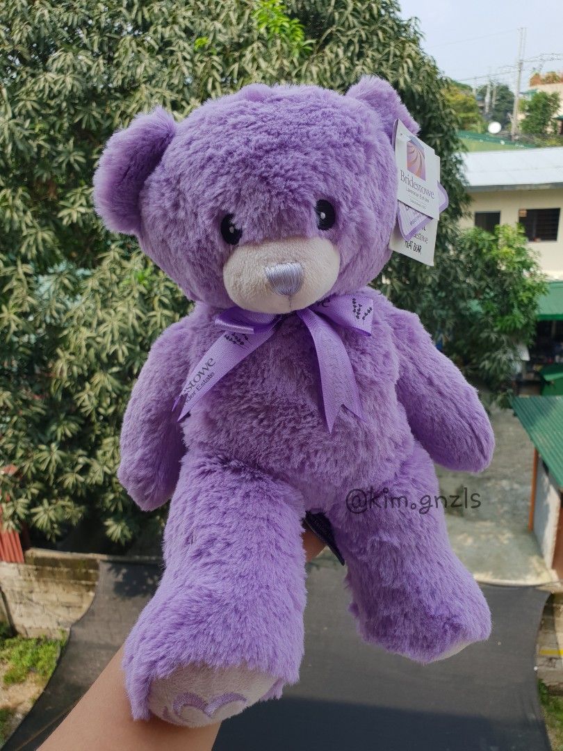 Teddy Bear Violet, Hobbies & Toys, Toys & Games on Carousell