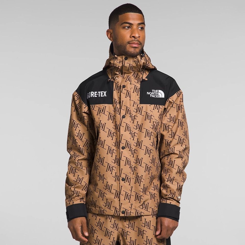 North face gore 2025 tex parka mens