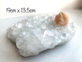 （分類：）位於 。 由 mok_taimo 提交（商品編號 1253764094，圖片 1）。簡介： 。