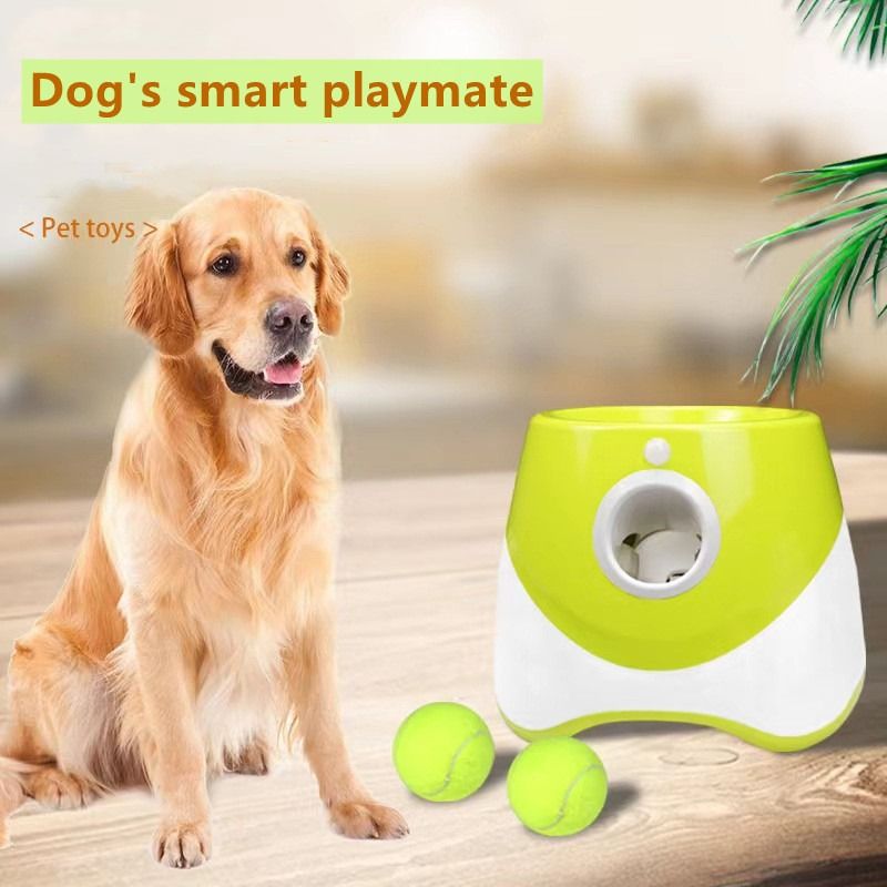 Automatic pet outlet ball launcher