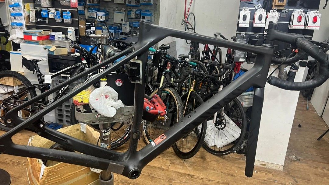 Canyon best sale endurace frameset