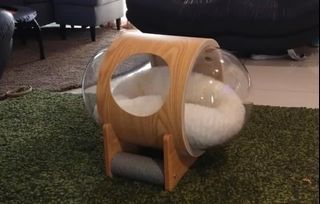 Cat Bed