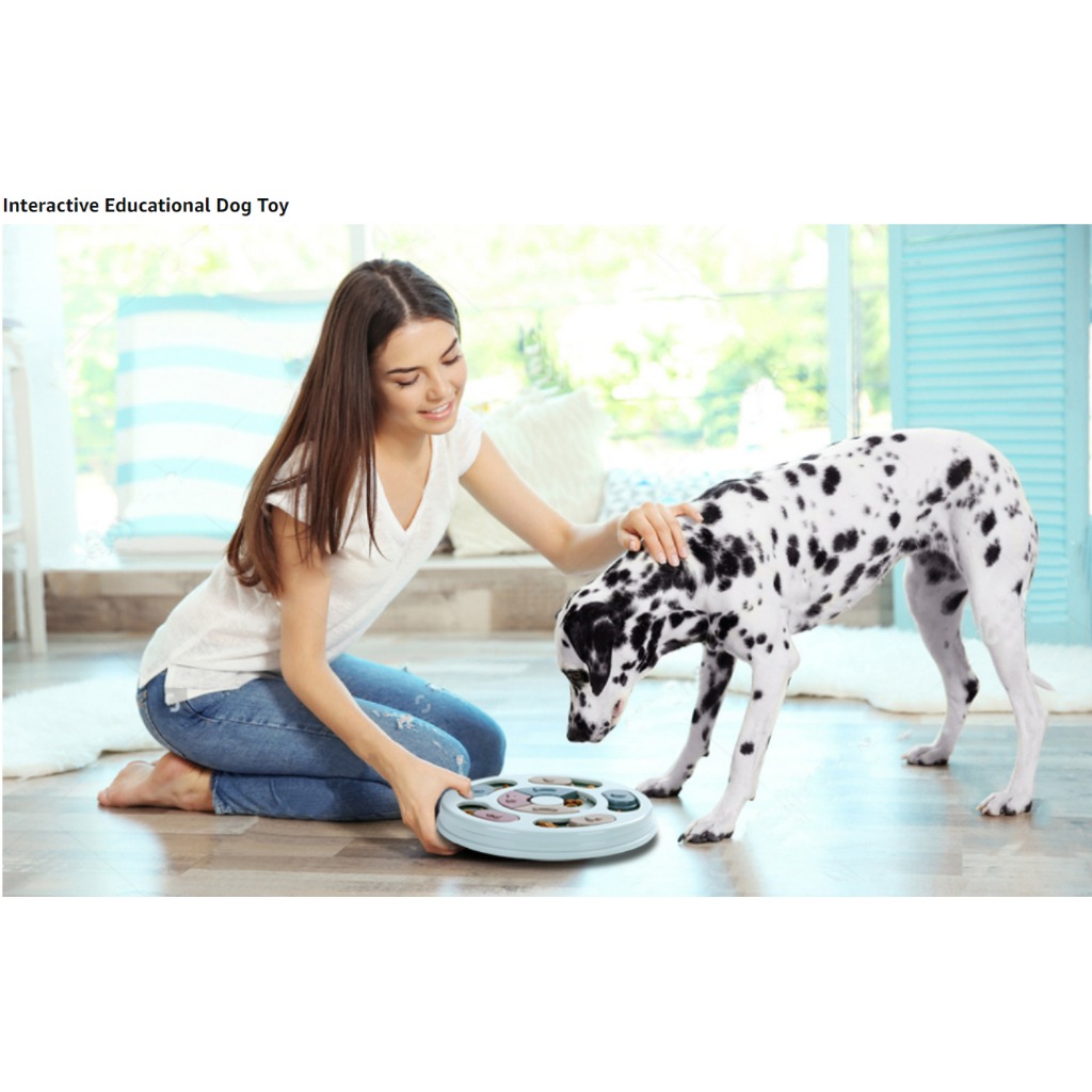 Educational shop dog toys