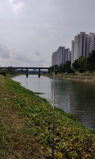 (Category: ) located in . Submitted by nosna_fishing (Listing ID 1253853299, Image 1). Description: .