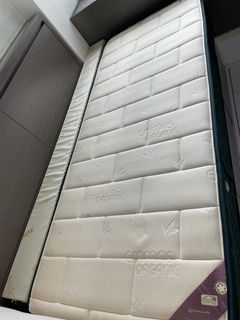 （分類：）位於 。 由 mm2ma 提交（商品編號 1253753712，圖片 1）。簡介： 。
