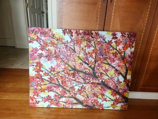 (Category: ) located in . Submitted by karynneav (Listing ID 1253805605, Image 1). Description: .