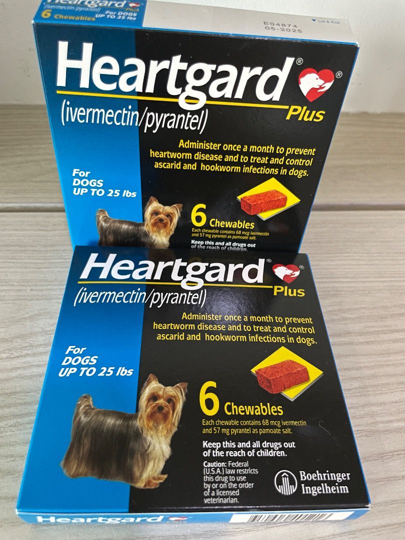 Heartgard for dogs 25 lbs clearance