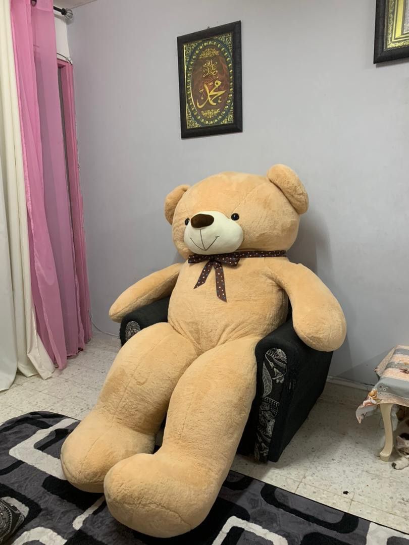Jumbo teddy cheap bear price