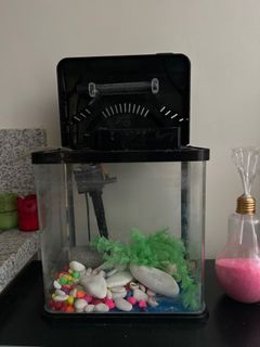 Mini aquarium