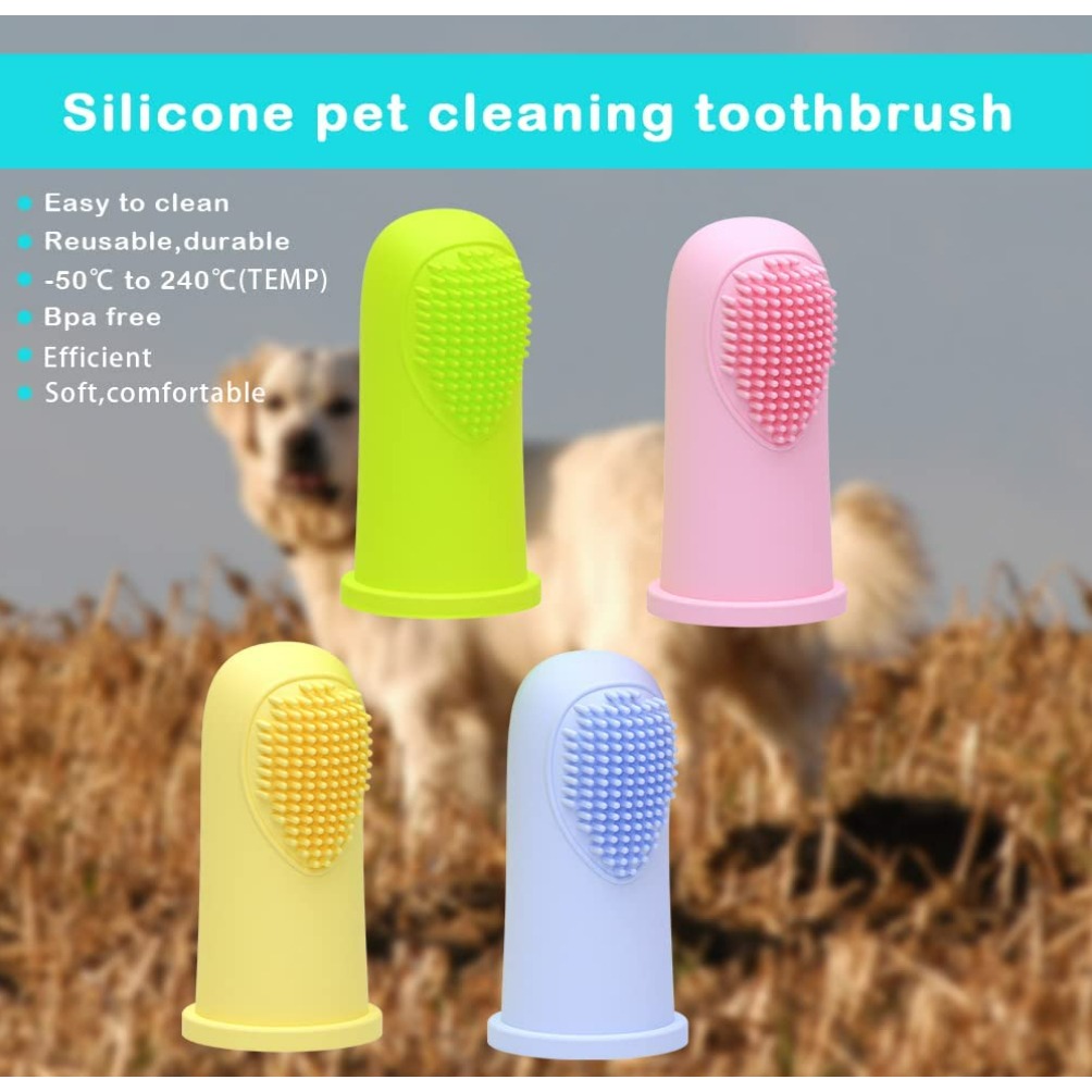 Dogsmart toothbrush top