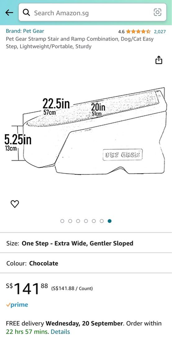 Pet gear ramp amazon sales