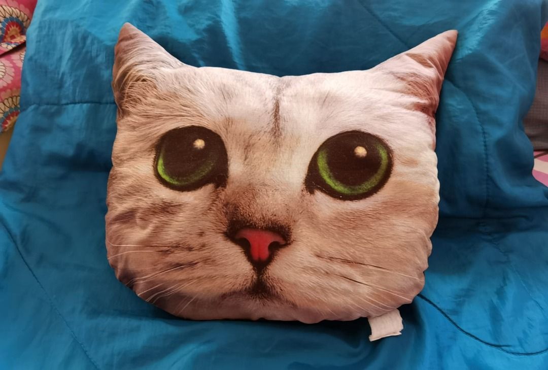 Daiso cat cushion online