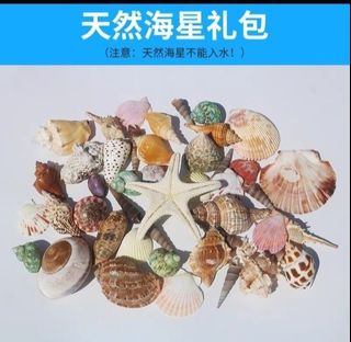 (Category: ) located in . Submitted by chuaau (Listing ID 1253771853, Image 1). Description: .