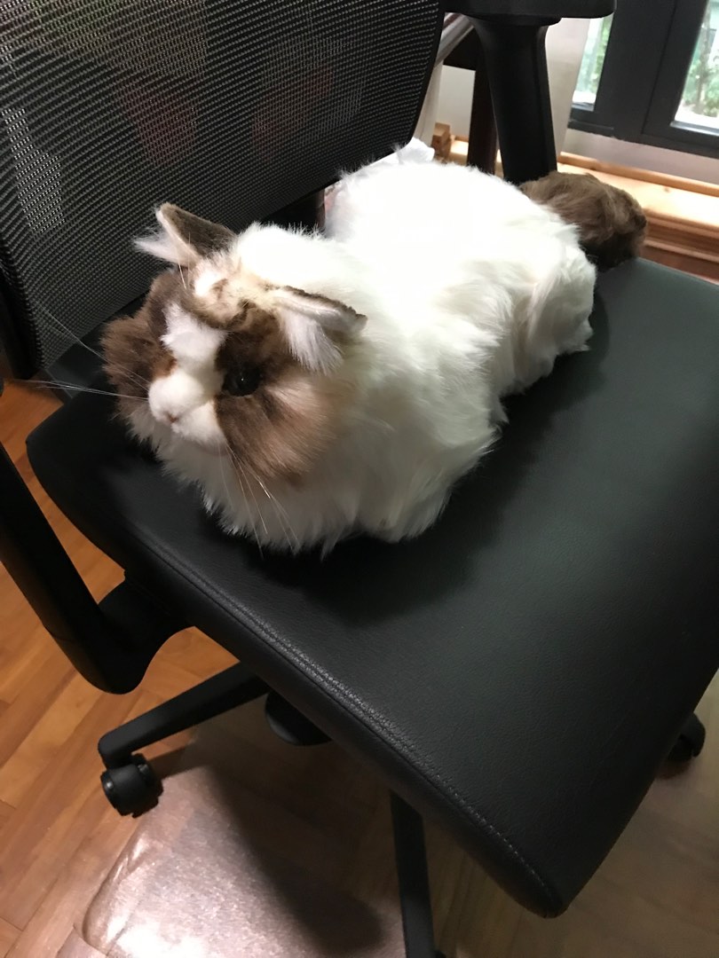 Ai cat toy online