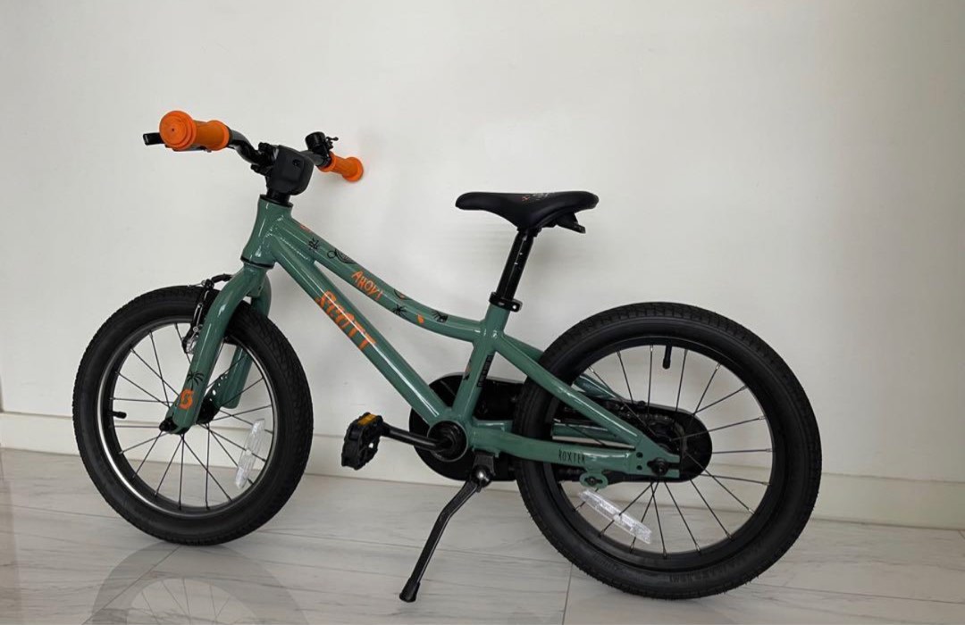 Scott roxter 2021 cheap