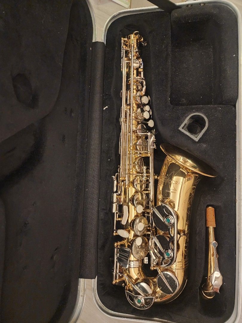 Selmer Aristocrat alto saxophone AS600，合初學色士風者, 興趣及遊戲