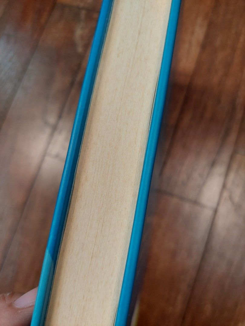 Smashing Grammar English grammar book, Hobbies & Toys, Books