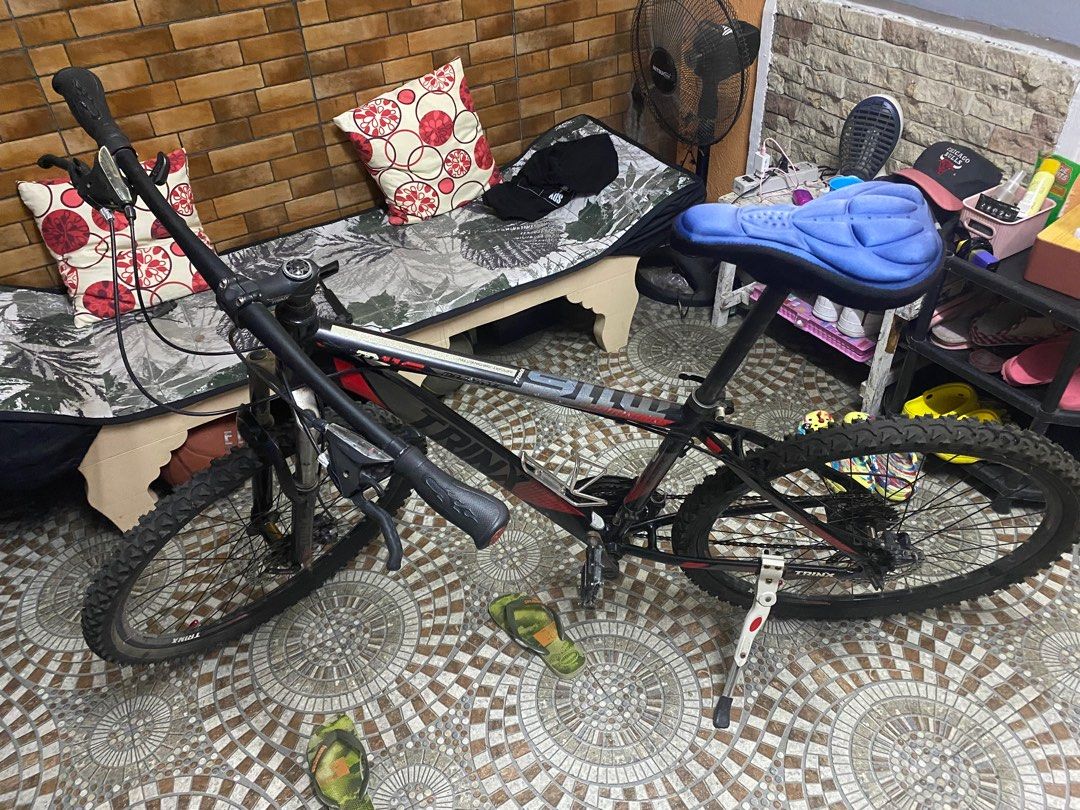 trinx majestic m116 price