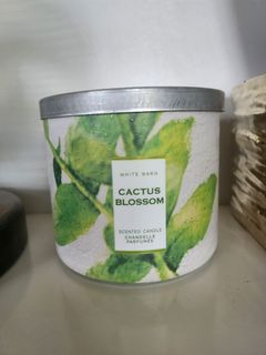 White Barn Cactus Blossom Candle