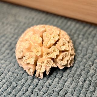 （分類：）位於 。 由 davignon 提交（商品編號 1275761354，圖片 1）。簡介： 。
