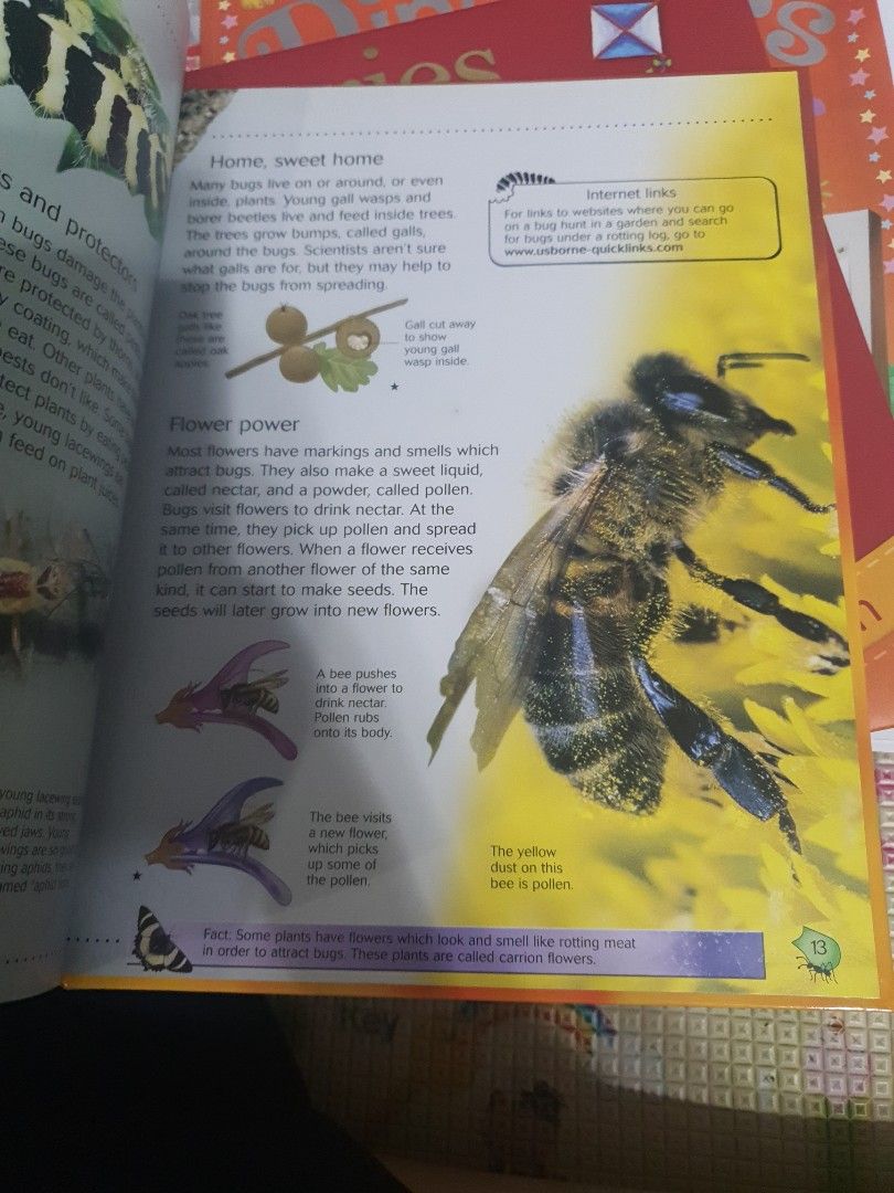 Bugs (Category: Storybooks) located in Singapore. Submitted by queenroman (Listing ID 1275725910, Image 2). Description: Hard copy. Price is neg..