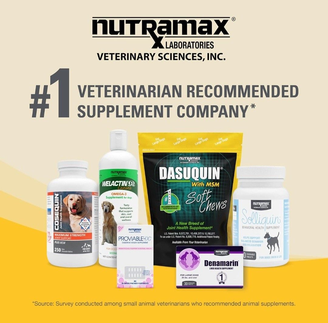 Dasuquin with best sale msm ingredients