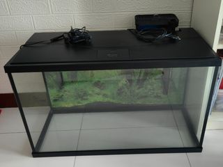 (Category: ) located in . Submitted by nwtancs (Listing ID 1275714341, Image 1). Description: .