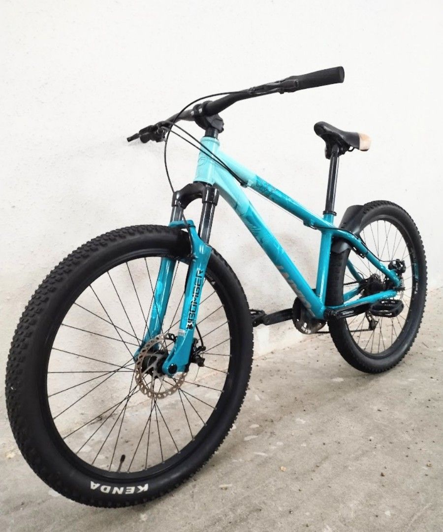 Giant stp 2010 cheap