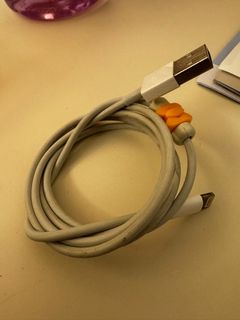 iPhone Original Charging Cable457038333907445760