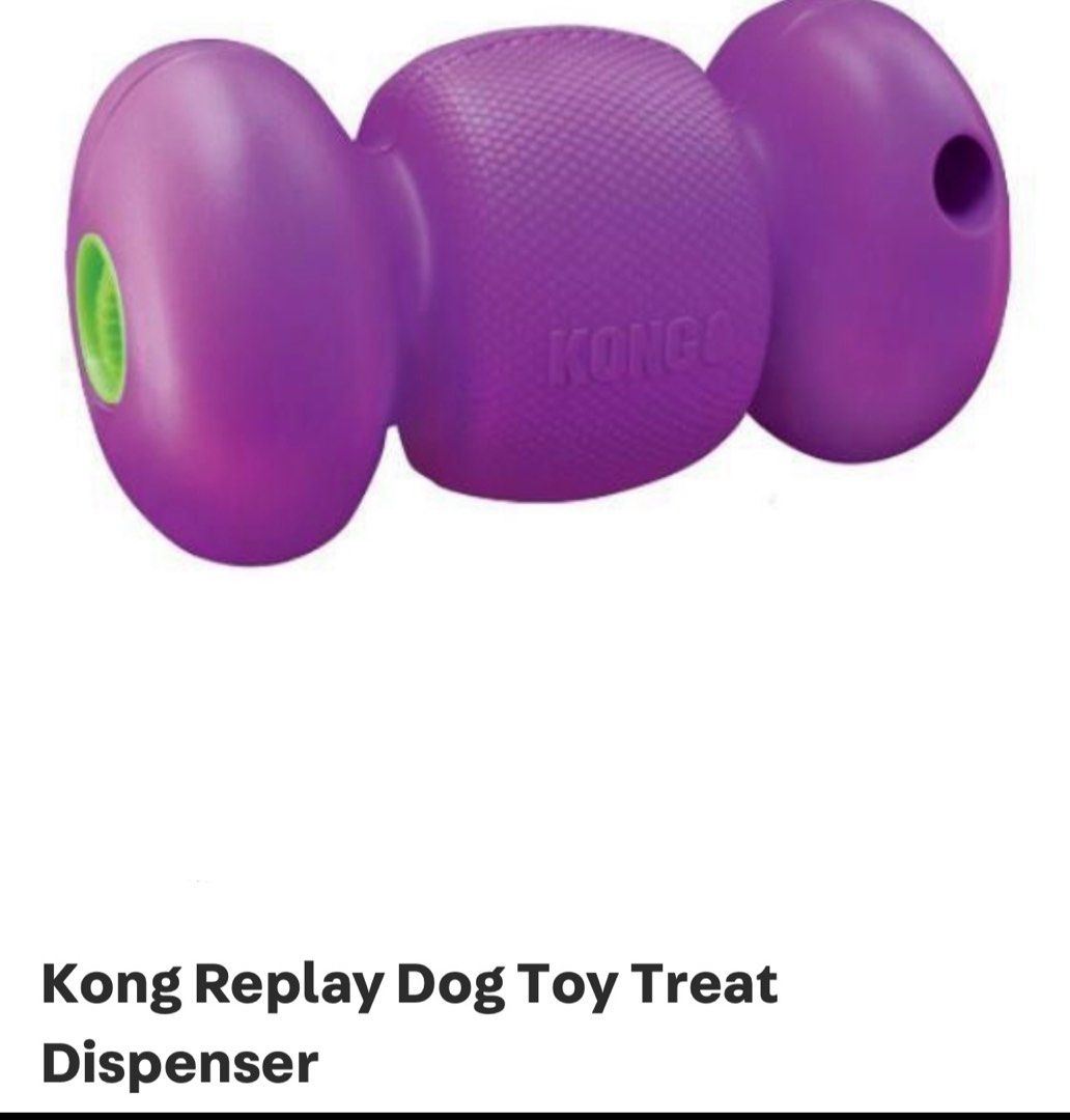 Kong replay dog toy online