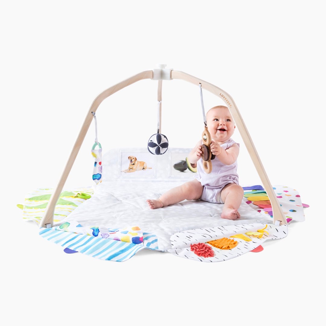 Lightly used Lovevery The Play Gym