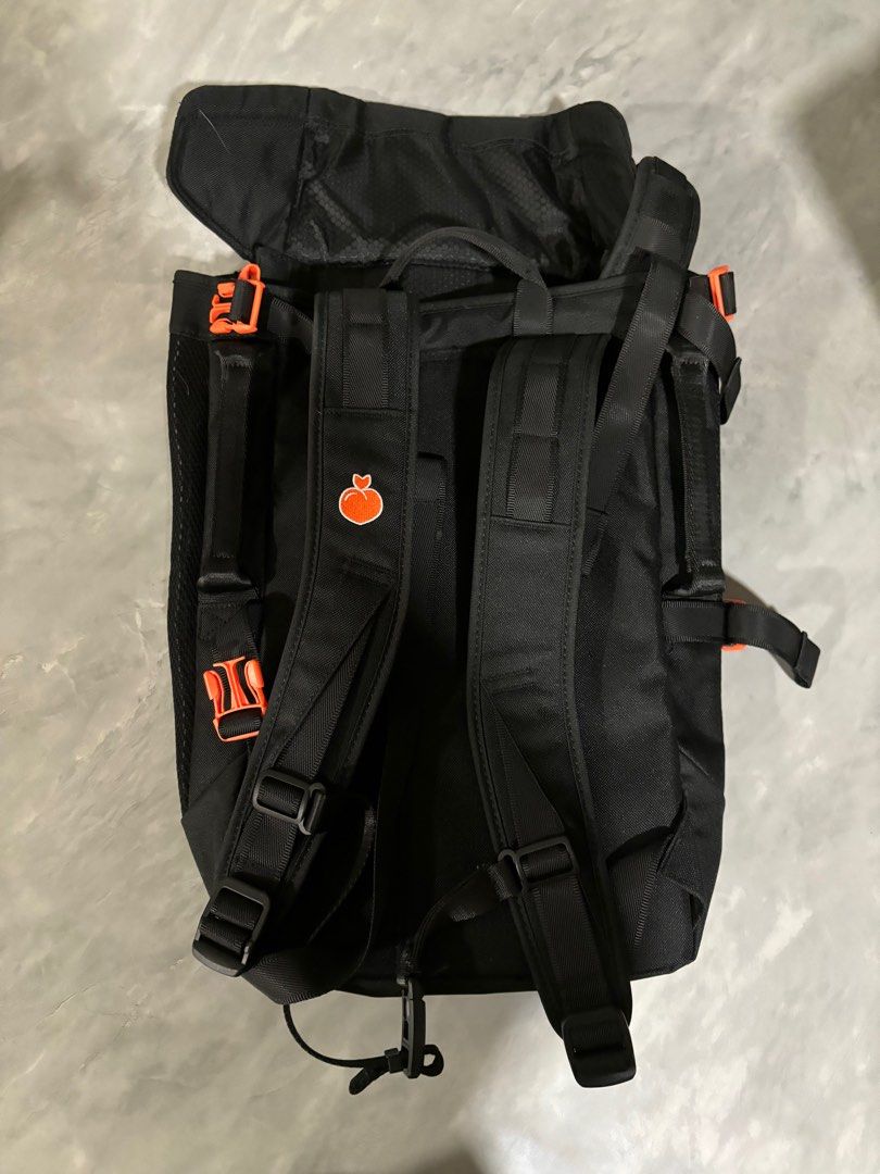 Little Chonk Maxine One Bag Backpack Carrier, Pet Supplies, Homes