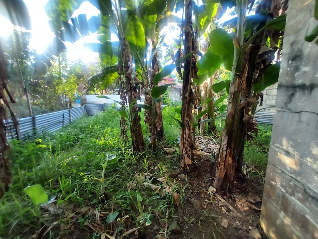LOT FOR SALE TERESA RIZAL 127SQM, Property, For Sale, Lot on Carousell