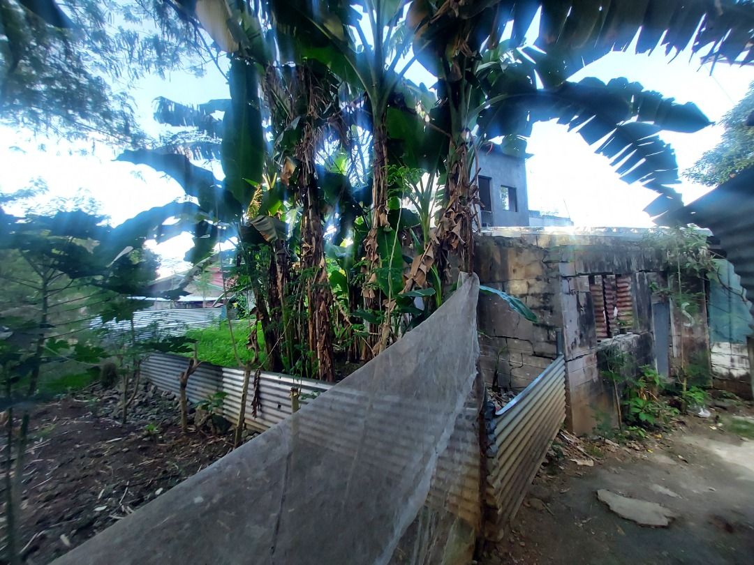 LOT FOR SALE TERESA RIZAL 127SQM, Property, For Sale, Lot on Carousell