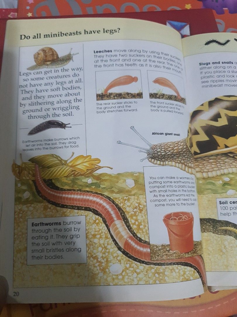 MINI BEASTS (Category: Storybooks) located in Singapore. Submitted by queenroman (Listing ID 1275725330, Image 2). Description: Price $0.50. Some pens marks in front of book. Hard copy. Inside no pen marks..