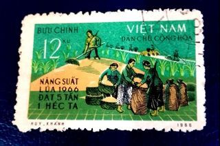 North Vietnam 1967 - Increase the Rice Harvest 1966 1v. (used)